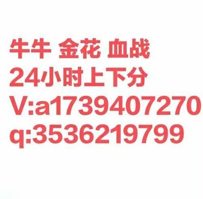 一元一分金花牛牛俱乐部，手机麻将群