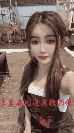 王家鹿园