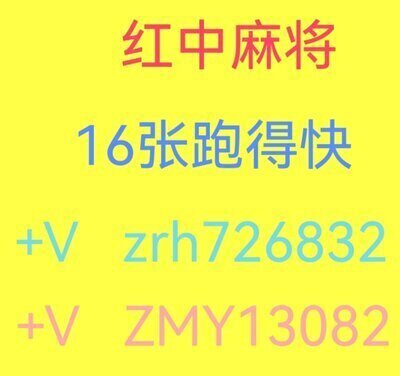 正规红中麻将一元一分