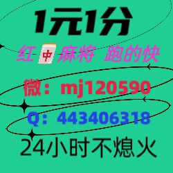 真人一分一元麻将群