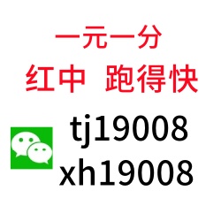 红中麻将一元一分群