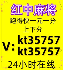 广东红中赖子麻将湖南