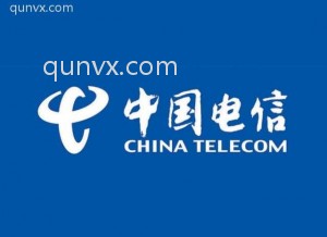 瑞金电信服务群