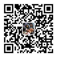 名驰钟表批发代发