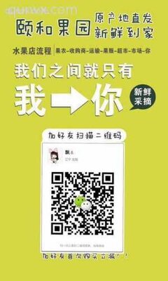 现摘绿色绝不泡药水果